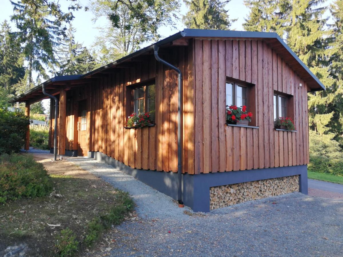 Haus Waldfrieden Altenberg Exterior foto