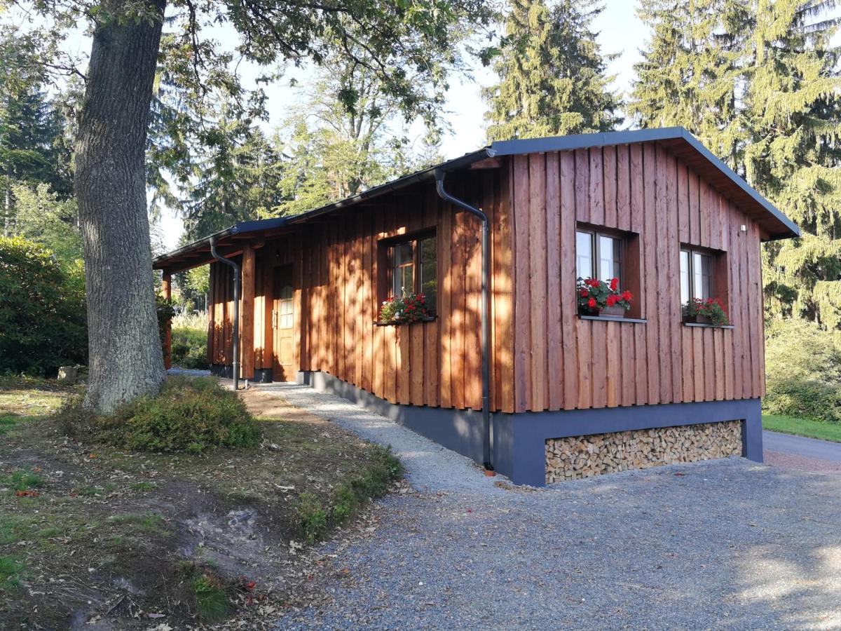 Haus Waldfrieden Altenberg Exterior foto
